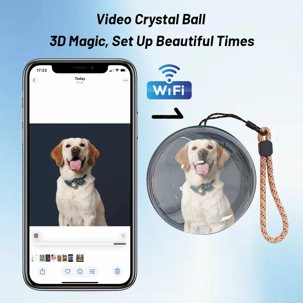 Memory Crystal